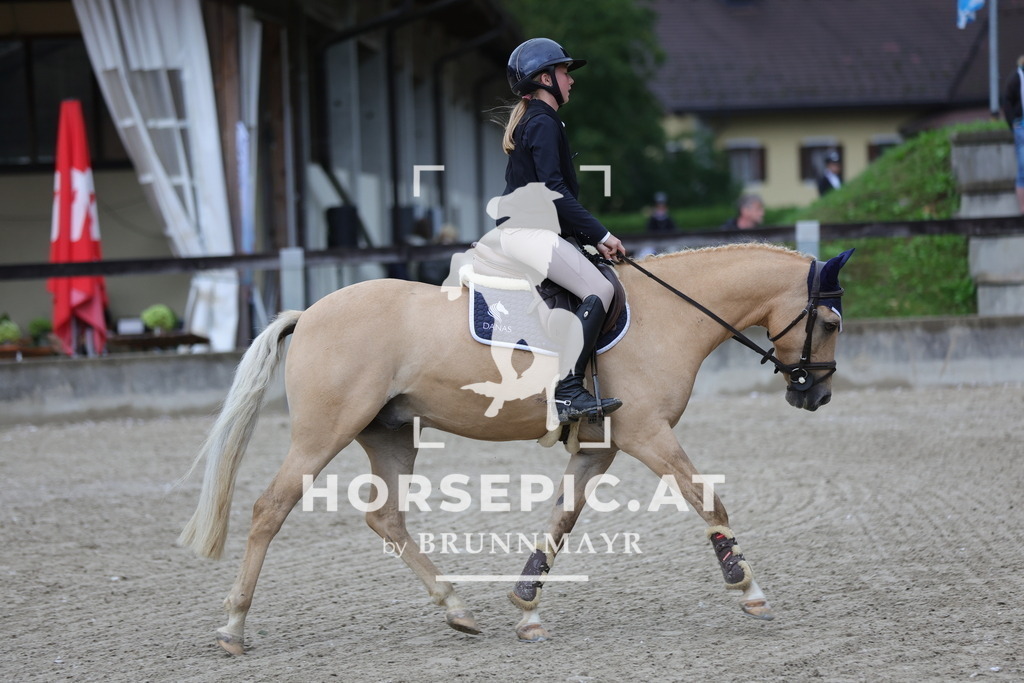 0P6A0241 | Willkommen bei Brunnmayr - Design & Fotografie – Ihrem Spezialisten für Reitturniere und Pferdeveranstaltungen in Oberösterreich, Salzburg und Bayern! Seit über 17 Jahren sind wir leidenschaftlich dabei.