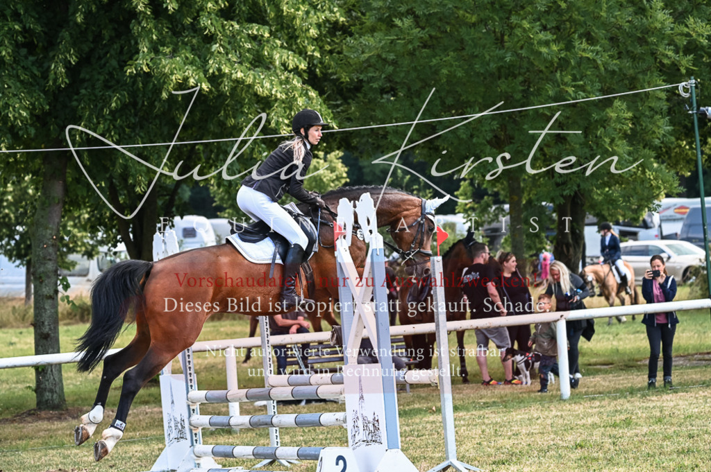 DSC_8054 | Pferde- und Turnierfotografie in Westsachsen. Pferdeportraits, Auftragszeichnungen und intuitive Kunst.