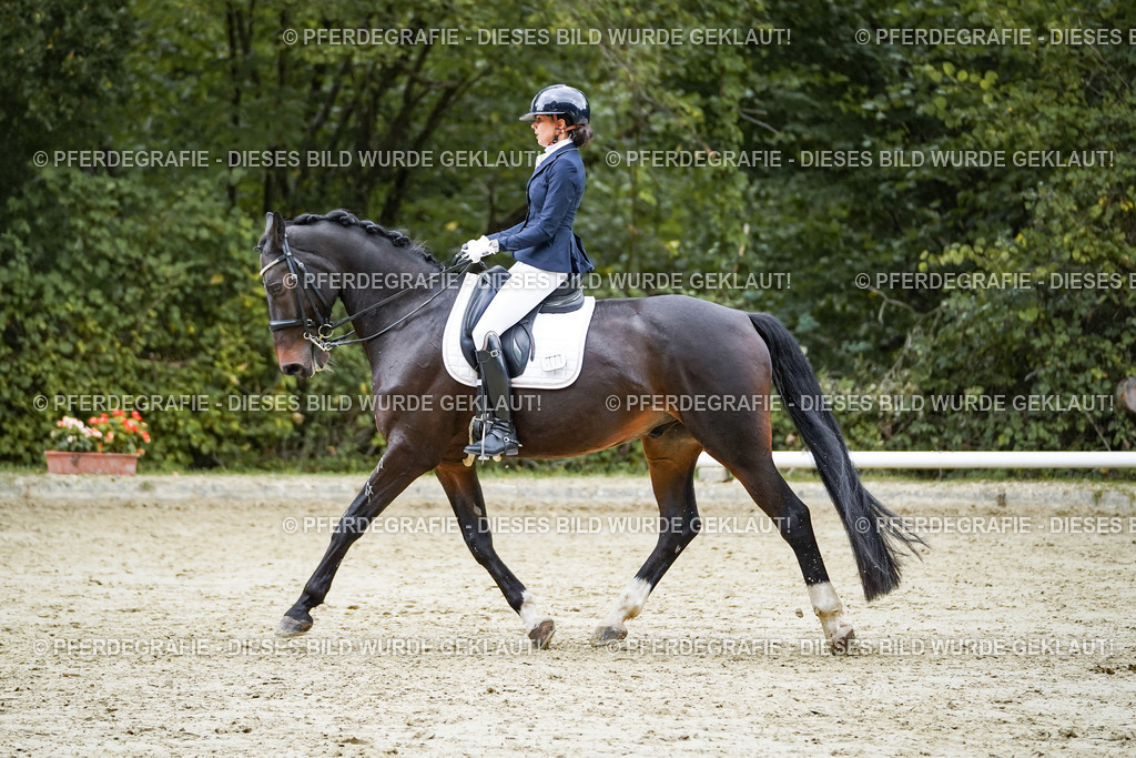 DSC00622 | Pferdegrafie