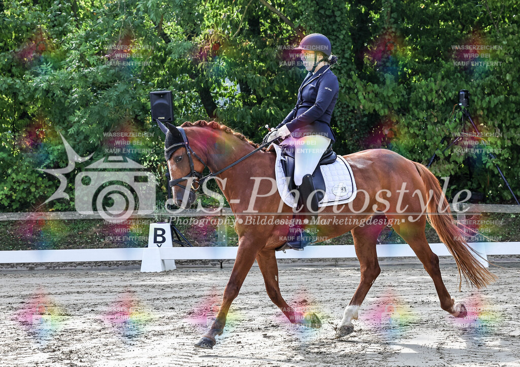 20250726_Dressurprfg_Kl.A-6 | JS-PHOTOSTYLE