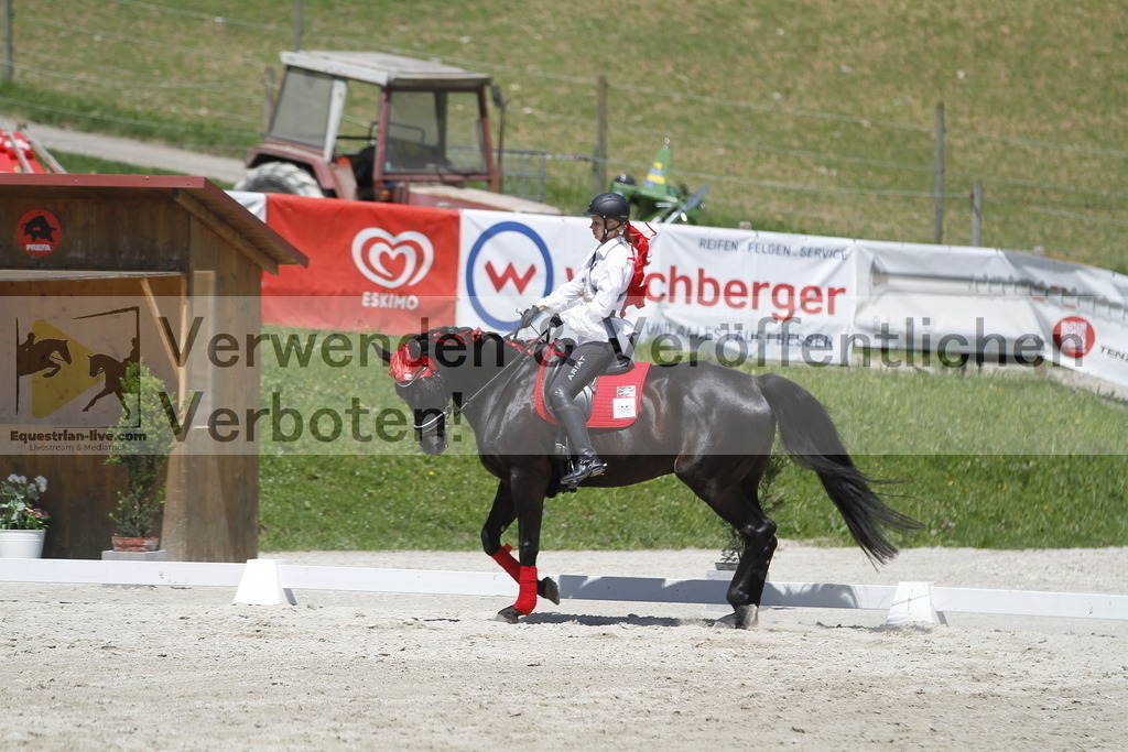 _MG_7438 | equestrian-live-com