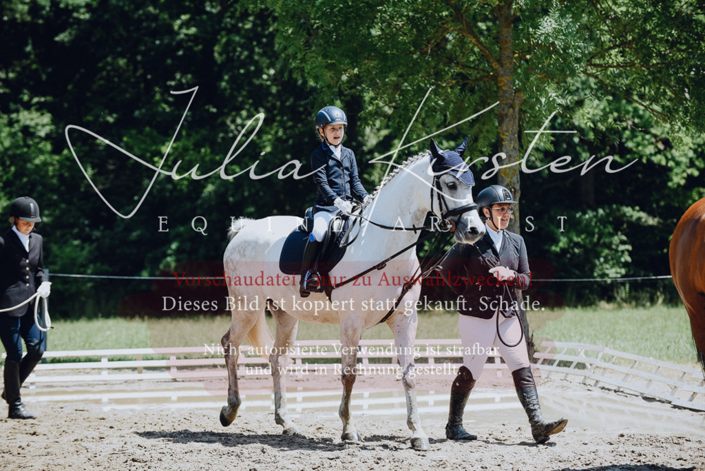 DSC_2131 | Pferde- und Turnierfotografie in Westsachsen. Pferdeportraits, Auftragszeichnungen und intuitive Kunst.