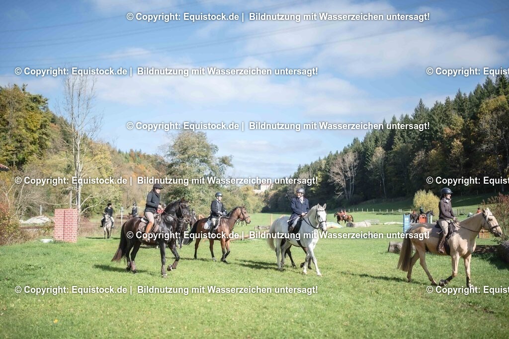 20251011_Jagd-Marbach_0103 | Foto: Thomas Hartig