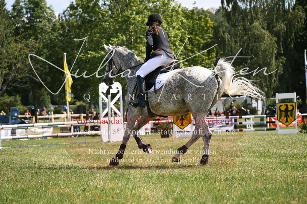 DSC_8983 | Pferde- und Turnierfotografie in Westsachsen. Pferdeportraits, Auftragszeichnungen und intuitive Kunst.