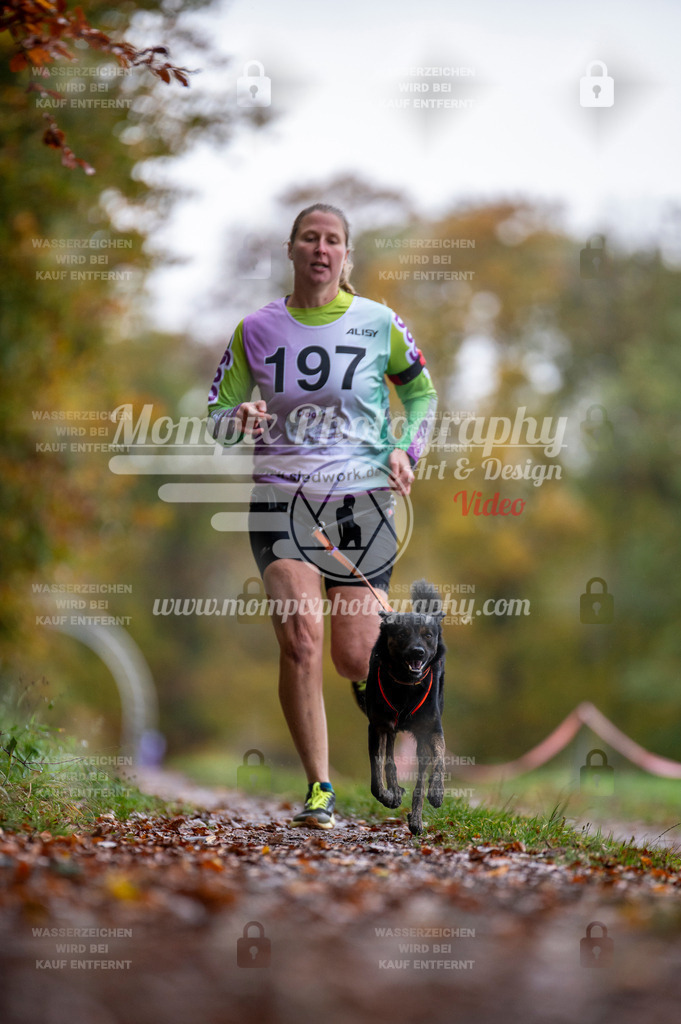 DBT_DAKM_SA_4_11_2023_Canicross-38 | PayLife