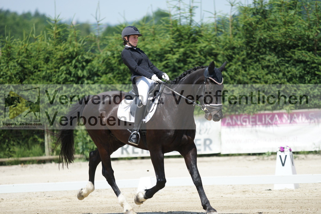 DSC04831 | equestrian-live-com