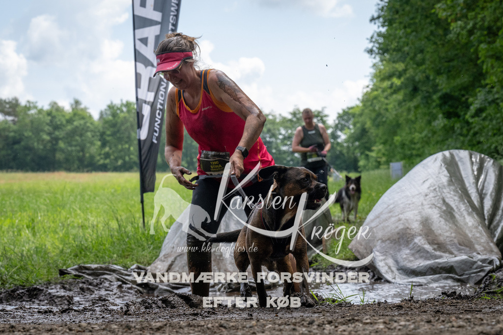 1127_ZZ92967 | kk-dogfotos