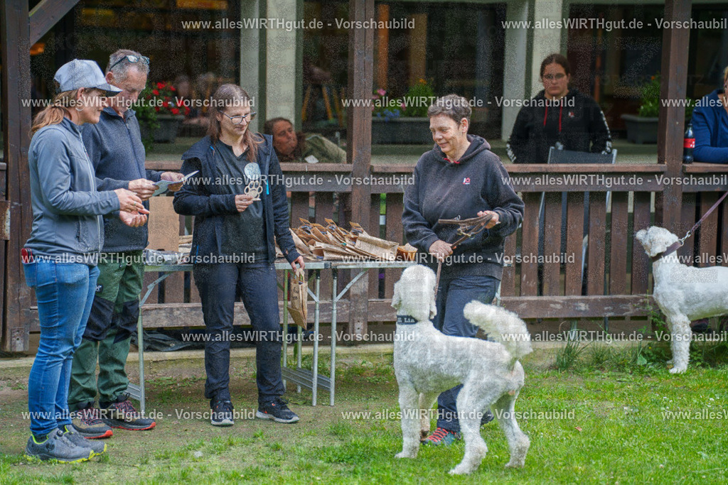 @allesWIRTHgut_Tierfotografie - www.allesWIRTHgut.de - 7R503976 | Professionelle Tierfotografie in Mönchengladbach von Daniel Wirth (allesWIRTHgut). Liebevolle & natürliche Bilder von Hunden & Katzen für unvergessliche Erinnerungen.
