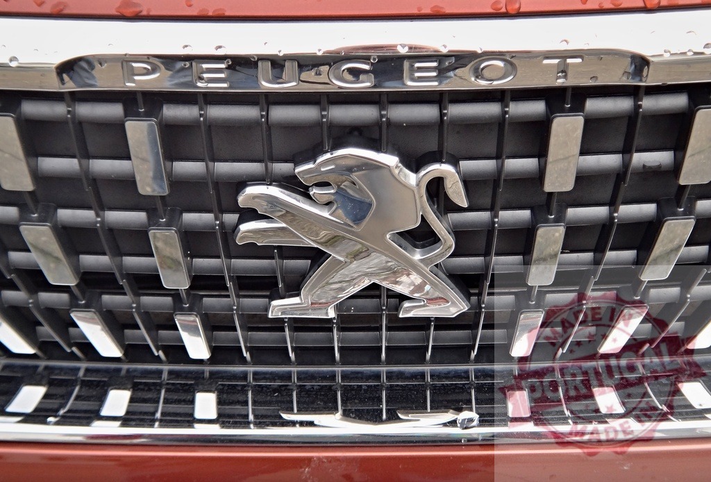 Peugeot car grille showing chrome lion emblem detail | Peugeot lion logo and brand name adorning a modern car grille - Realized with Pictrs.com