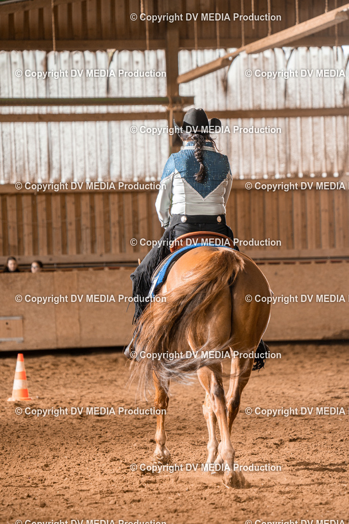 BAL01704 | dv-media-shop - Realisiert mit Pictrs.com