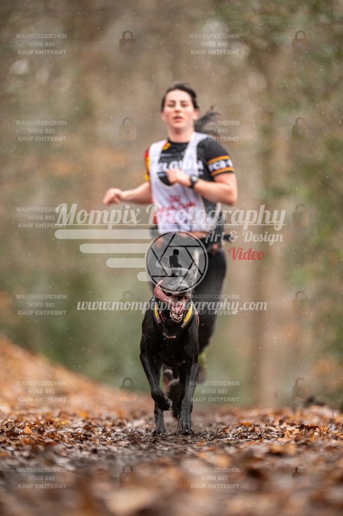 SPA_2023_DIM_CCL-59 | PayLife