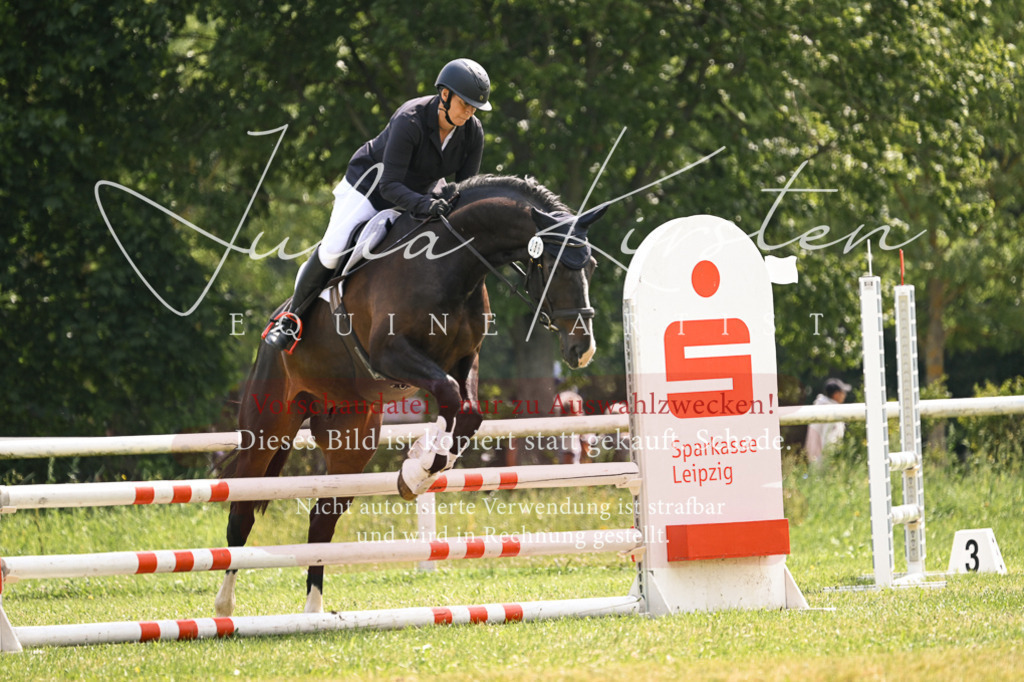 DSC_9099 | Pferde- und Turnierfotografie in Westsachsen. Pferdeportraits, Auftragszeichnungen und intuitive Kunst.