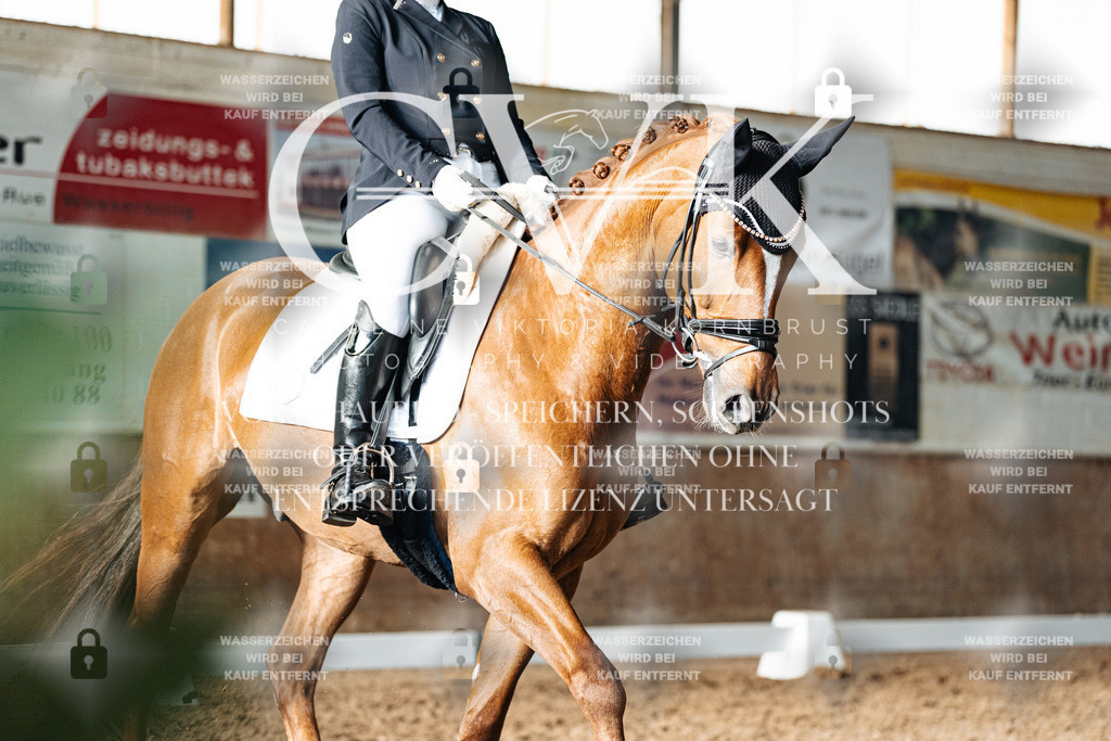 CK903149 | Turnierfotografie Pferdefotografie Trier Rheinland-Pfalz Pferdesport Reitsport Tierfotografie Sportfotografie Pferdevideo Pferdevideografie Equestrianvideography equestrianphotography  - Realisiert mit Pictrs.com
