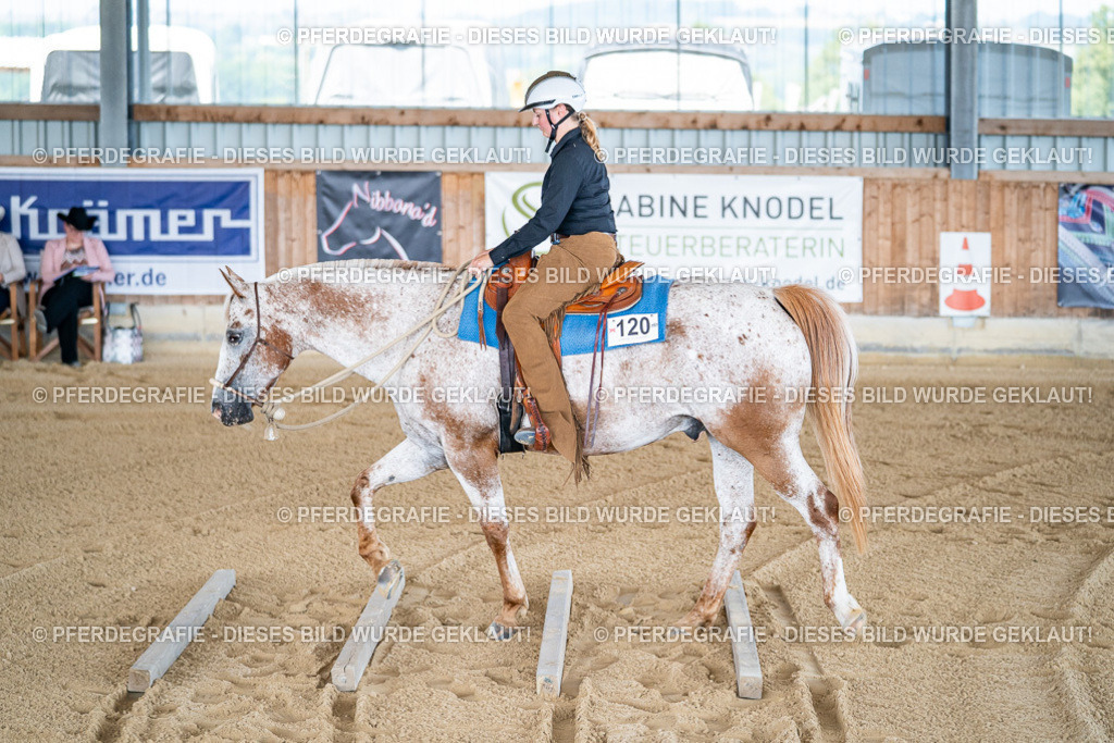 DSC01874 | Pferdegrafie