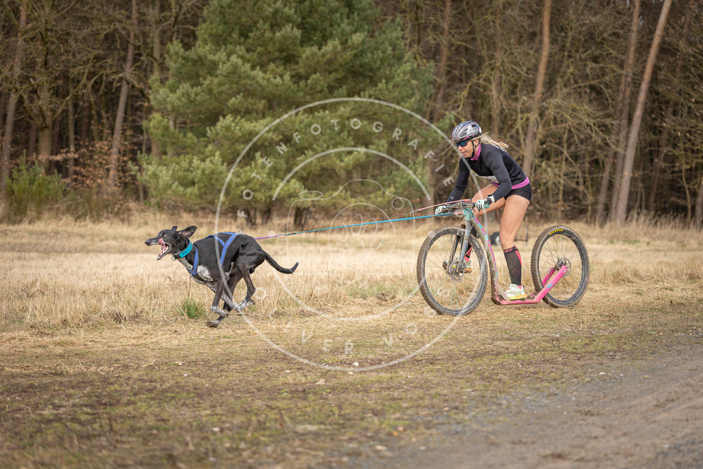 DV3A4671 | Hundefotografie, Tierfotograf, Pfotenfotografie, Fotoshooting Hund, Hunde Portrait, Hundesport, Hundeportraits, Heideshooting, Hunde, Sportfotograf, Hundefotograf, Turnierhundsport, THS,  - Realisiert mit Pictrs.com