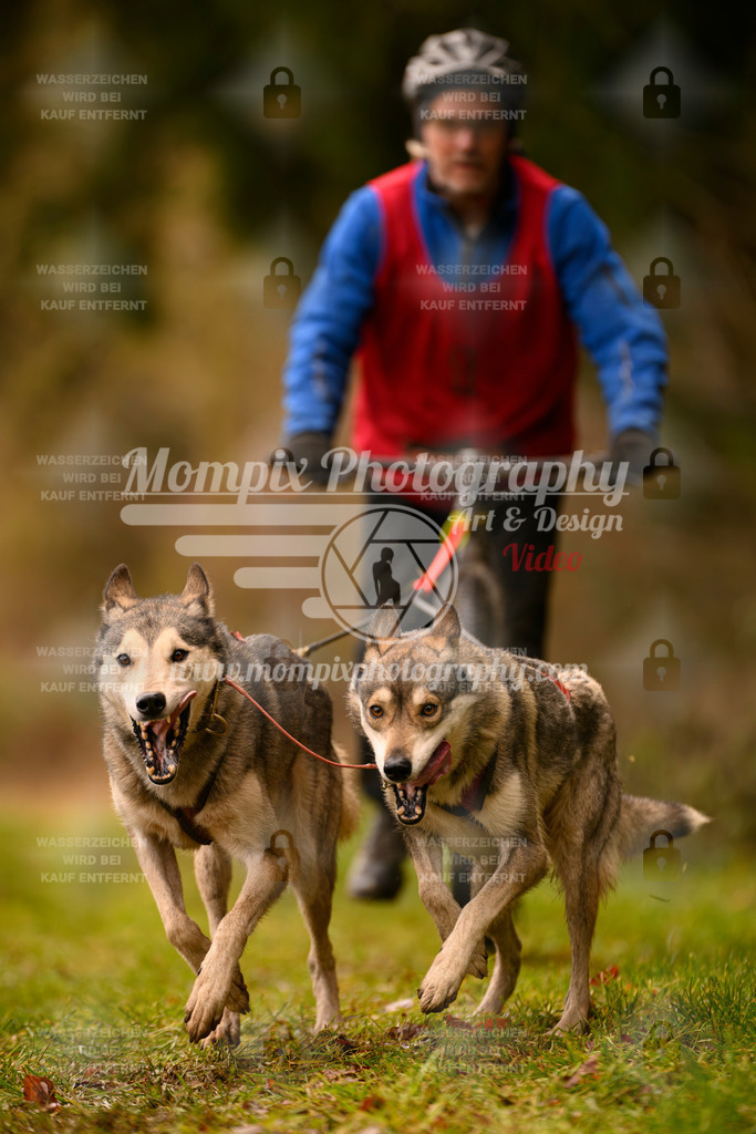 MompixPhotography_2SSTSSBW_2025_SO_Scooter-93 | PayLife