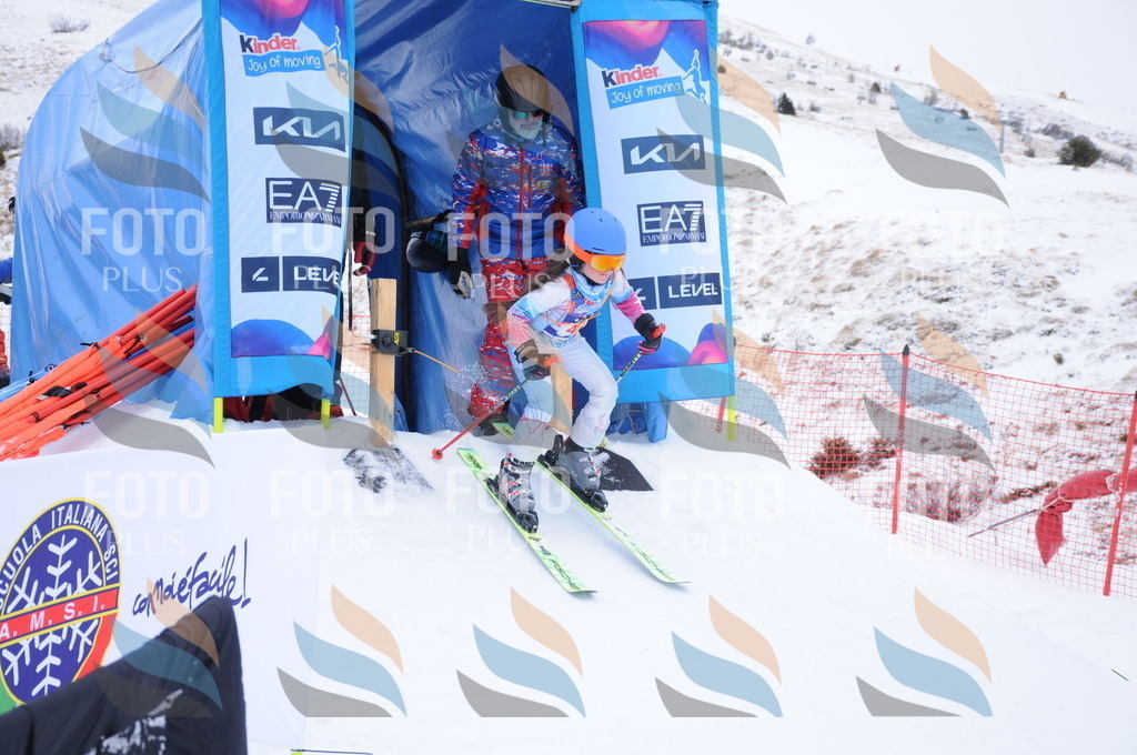 DSC_7907 | holidayphoto