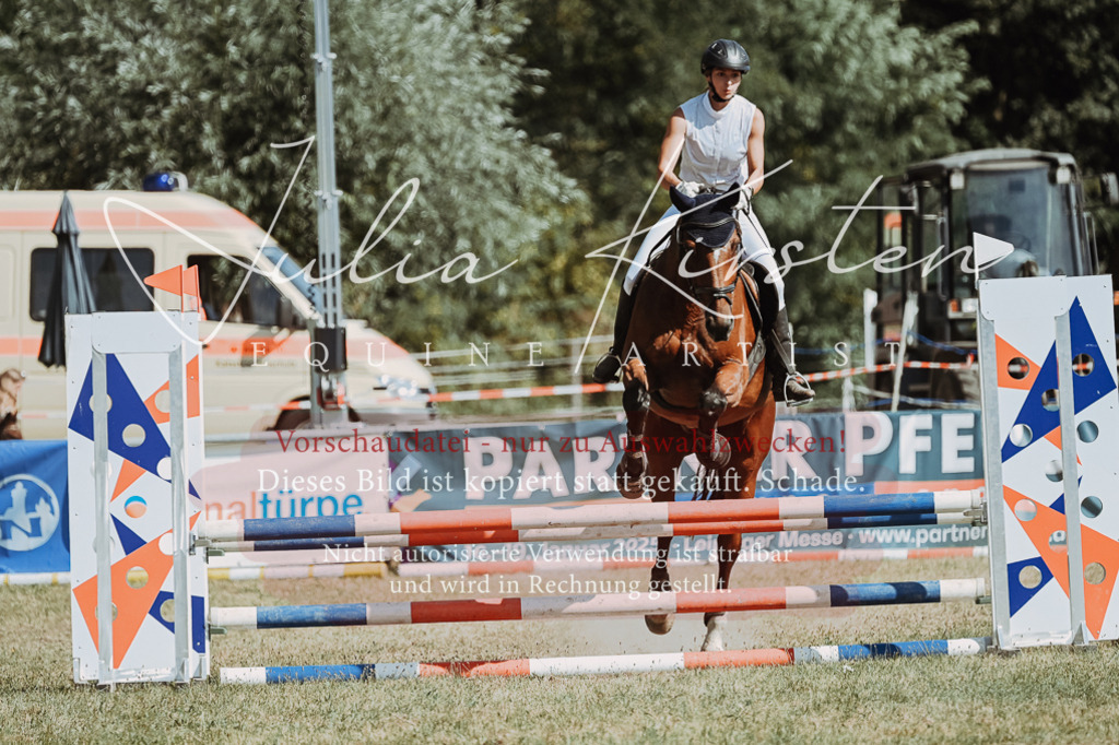 DSC_9511 | Pferde- und Turnierfotografie in Westsachsen. Pferdeportraits, Auftragszeichnungen und intuitive Kunst.