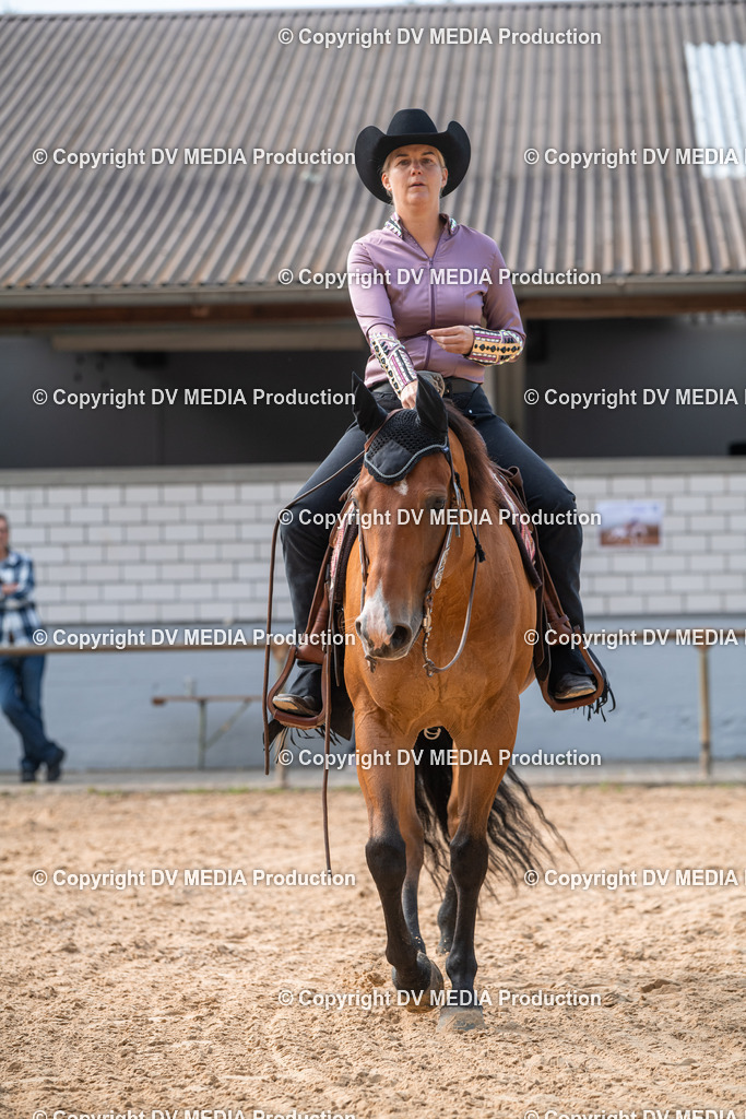 EWP_5717 | dv-media-shop - Realisiert mit Pictrs.com