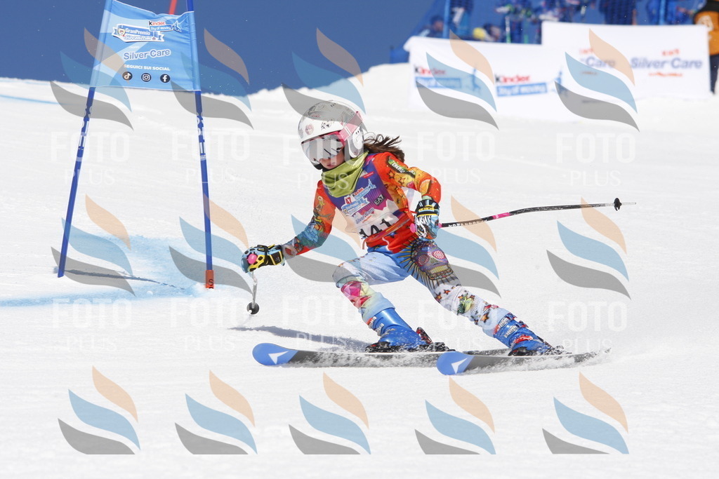 _W1G2106 | holidayphoto