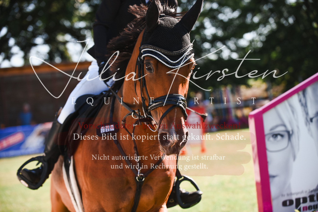DSC_2444 | Pferde- und Turnierfotografie in Westsachsen. Pferdeportraits, Auftragszeichnungen und intuitive Kunst.