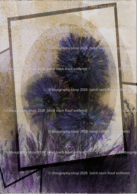 Asterngruß Variation 17 | Zeichnung von Vera Zschecked exclusiv auf titusgraphy.eu - Realisiert mit Pictrs.com