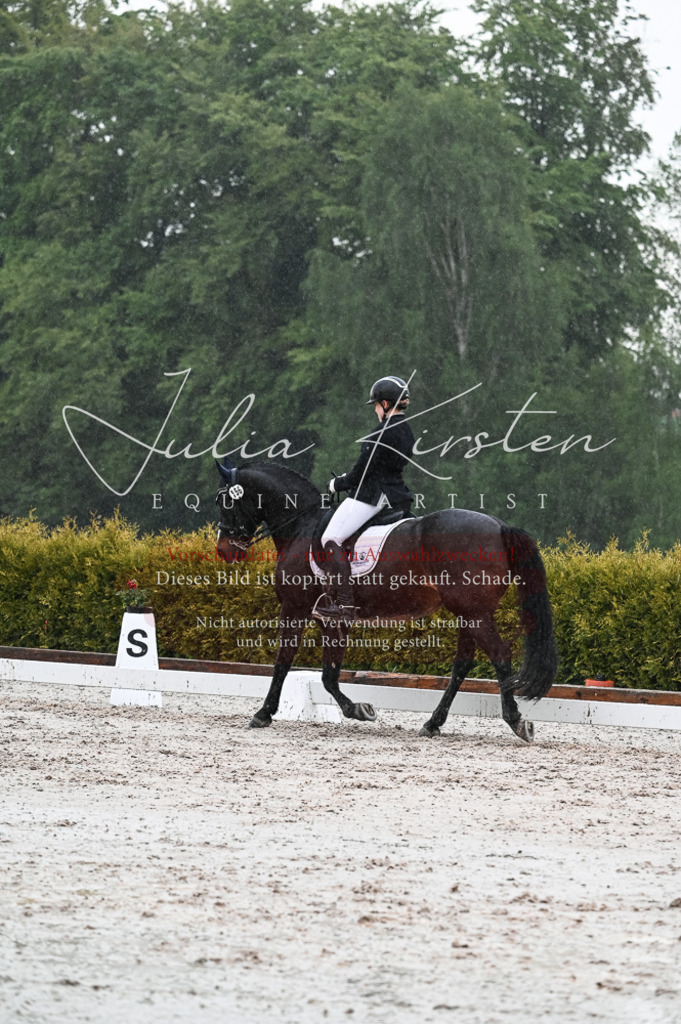 DSC_4649 | Pferde- und Turnierfotografie in Westsachsen. Pferdeportraits, Auftragszeichnungen und intuitive Kunst.