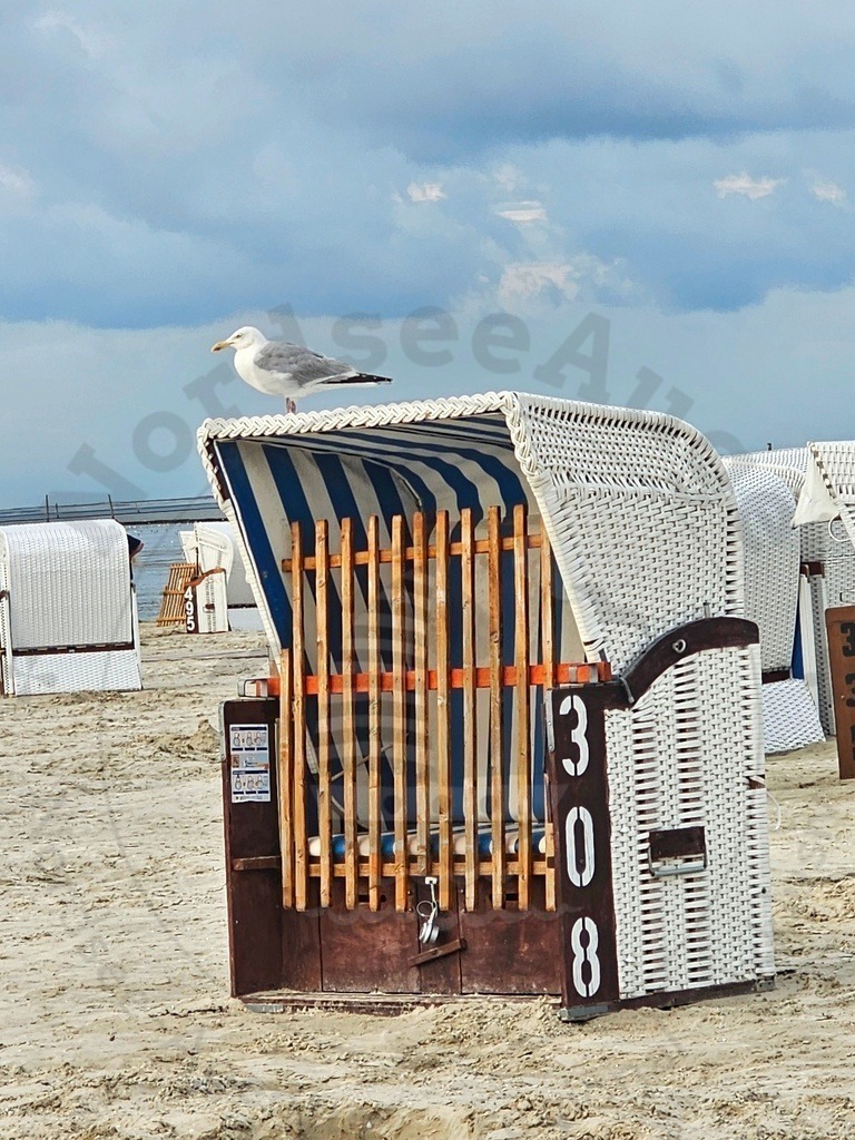 Nordsee Momente pur Nordseeküste Naturaufnahmen  | Nordsee in all ihrer Natürlichkeit  - Realisiert mit Pictrs.com