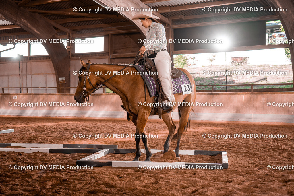 NE200110 | dv-media-shop - Realisiert mit Pictrs.com