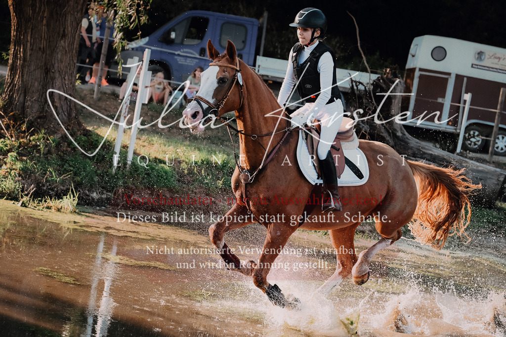 DSC_9140 | Pferde- und Turnierfotografie in Westsachsen. Pferdeportraits, Auftragszeichnungen und intuitive Kunst.
