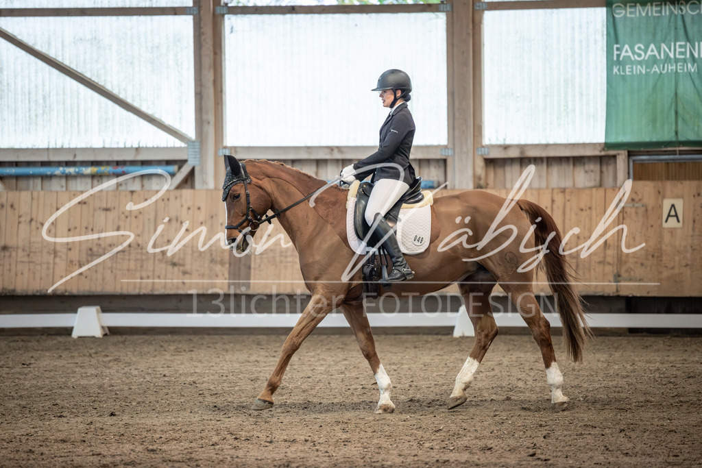 20251011-_3LI5969 | Tierfotografie Pferde, Hunde, Katzen, Haustiere.
Turnierfotografie Reitturniere, Reiten, Springreiten, Dressur in Hanau, dem Main-Kinzig-Kreis und dem Rhein-Main- Gebiet um Frankfurt