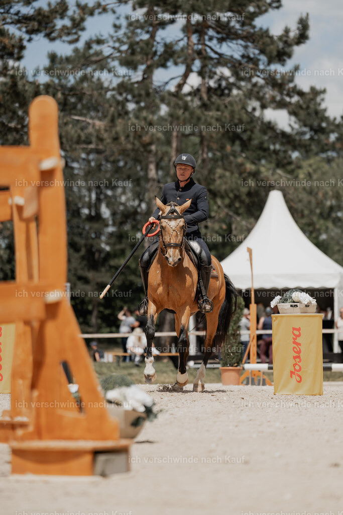 WE_ST_Stoib_311_PI2025_1203 | Pferd International München 2025