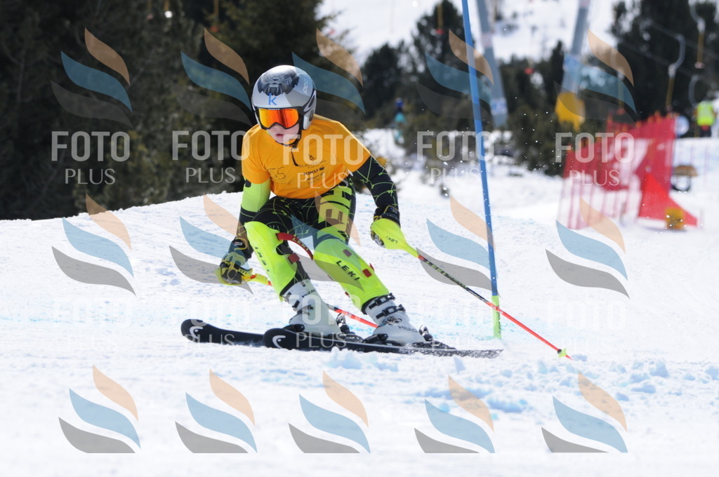 C9390 | holidayphoto