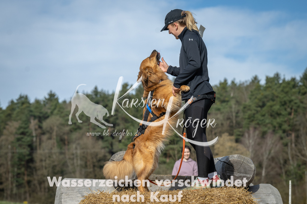 0956_ZZ97562 | kk-dogfotos