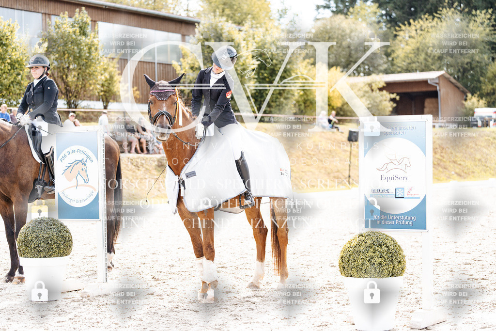 CK900967 | Turnierfotografie Pferdefotografie Trier Rheinland-Pfalz Pferdesport Reitsport Tierfotografie Sportfotografie Pferdevideo Pferdevideografie Equestrianvideography equestrianphotography  - Realisiert mit Pictrs.com