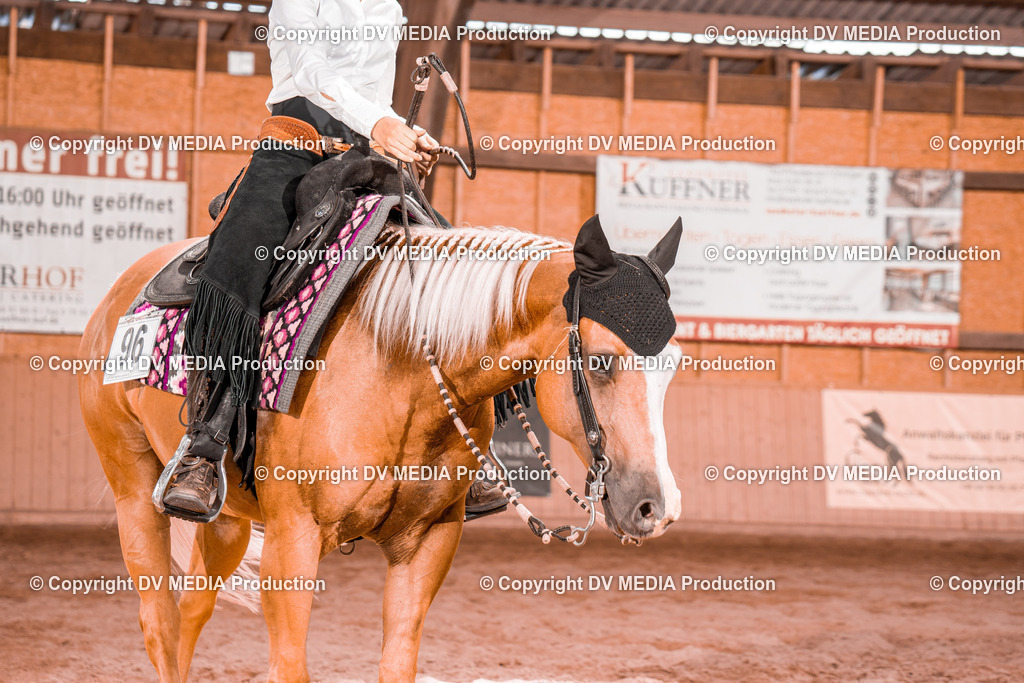 NE200680 | dv-media-shop - Realisiert mit Pictrs.com