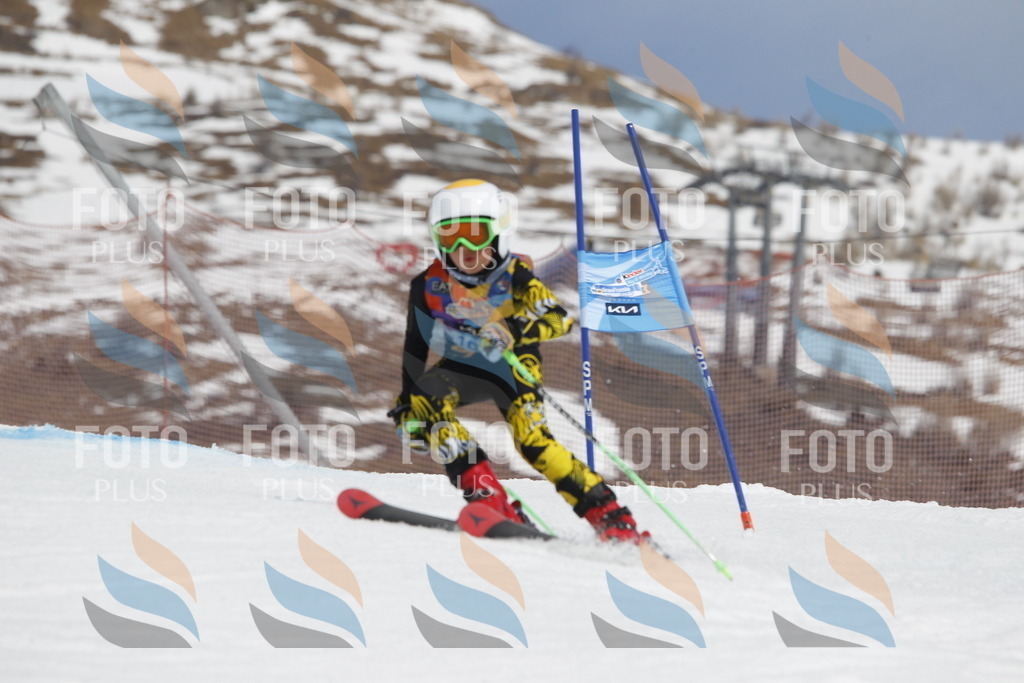 _U3G2881 | holidayphoto