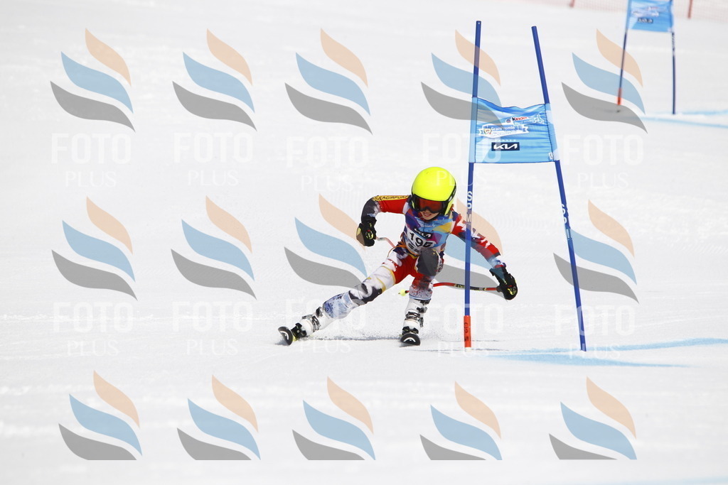 _U3G5107 | holidayphoto