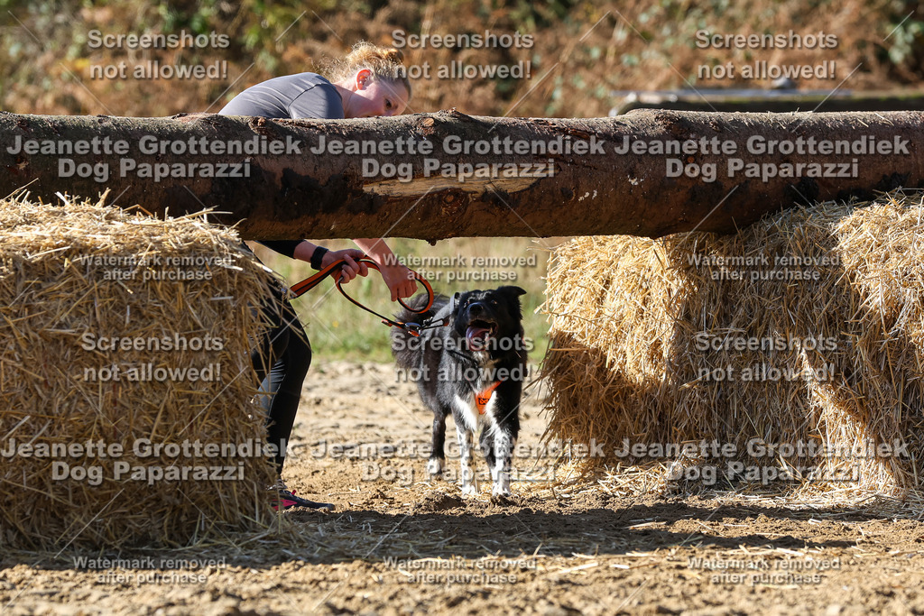 Dog Paparazzi - Strongdog 10-25-4743 | Dog Paparazzi Jeanette Grottendiek Fotografie & Videografie - Realisiert mit Pictrs.com