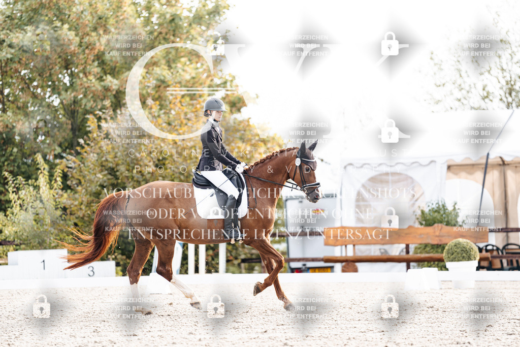 CK900504 | Turnierfotografie Pferdefotografie Trier Rheinland-Pfalz Pferdesport Reitsport Tierfotografie Sportfotografie Pferdevideo Pferdevideografie Equestrianvideography equestrianphotography  - Realisiert mit Pictrs.com