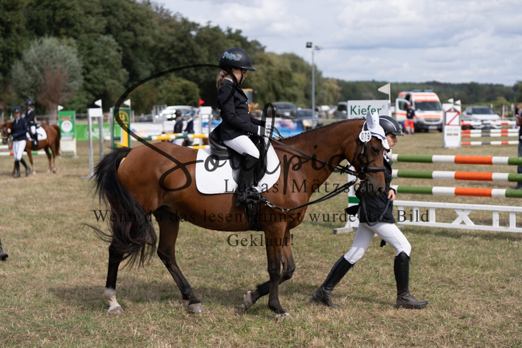 A7V08954 | Pferdefotograf