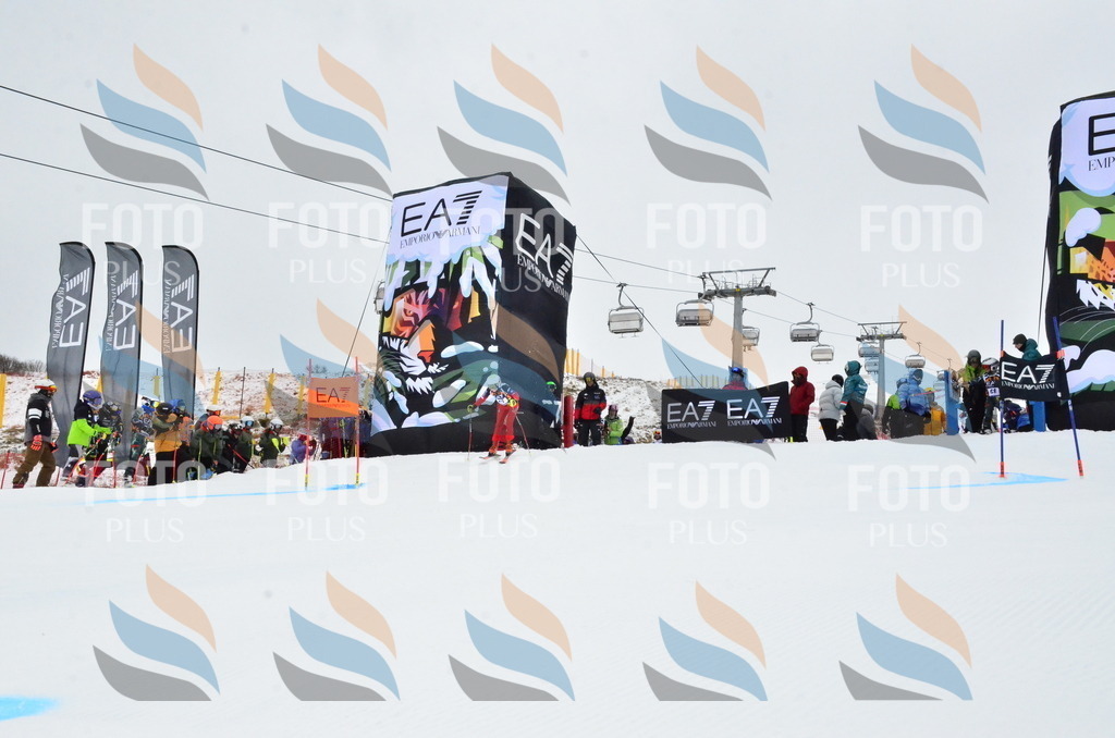 _ELE3445 | holidayphoto