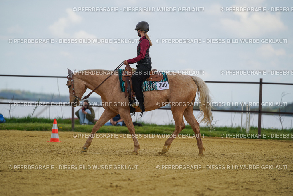 DSC05780 | Pferdegrafie