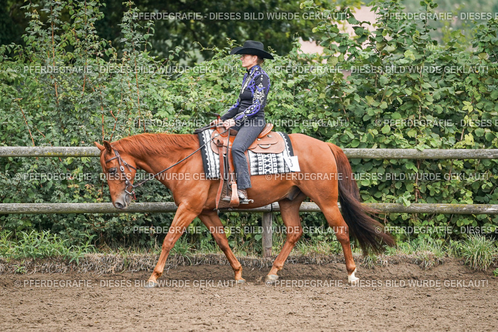 DSC01873 | Pferdegrafie