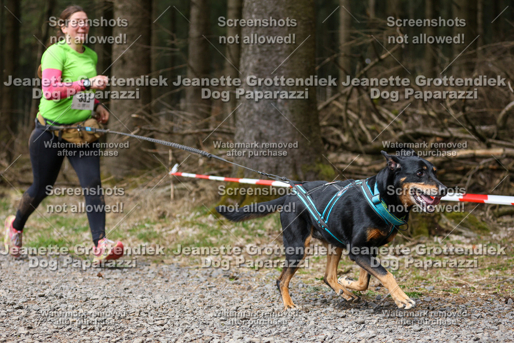 Dog Paparazzi - VCC26-483 | Dog Paparazzi Jeanette Grottendiek Fotografie & Videografie - Realisiert mit Pictrs.com