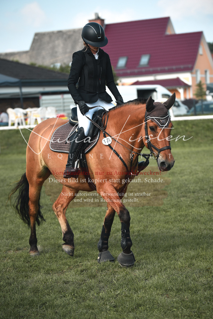 DSC_8861 | Pferde- und Turnierfotografie in Westsachsen. Pferdeportraits, Auftragszeichnungen und intuitive Kunst.