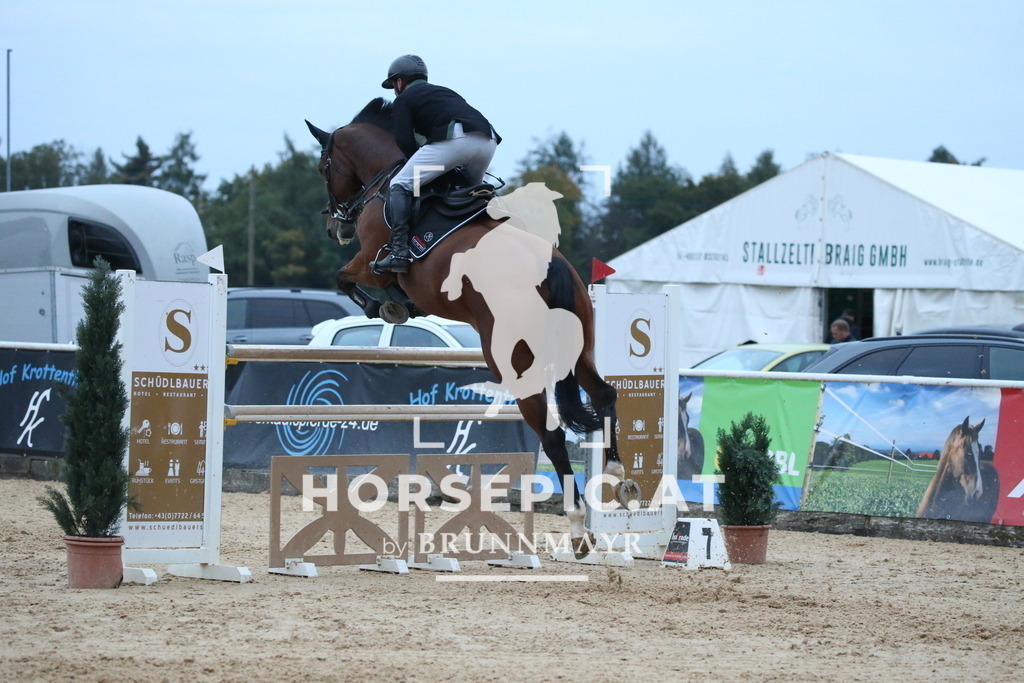 DL2Q6741 | Willkommen bei Brunnmayr - Design & Fotografie – Ihrem Spezialisten für Reitturniere und Pferdeveranstaltungen in Oberösterreich, Salzburg und Bayern! Seit über 17 Jahren sind wir leidenschaftlich dabei.