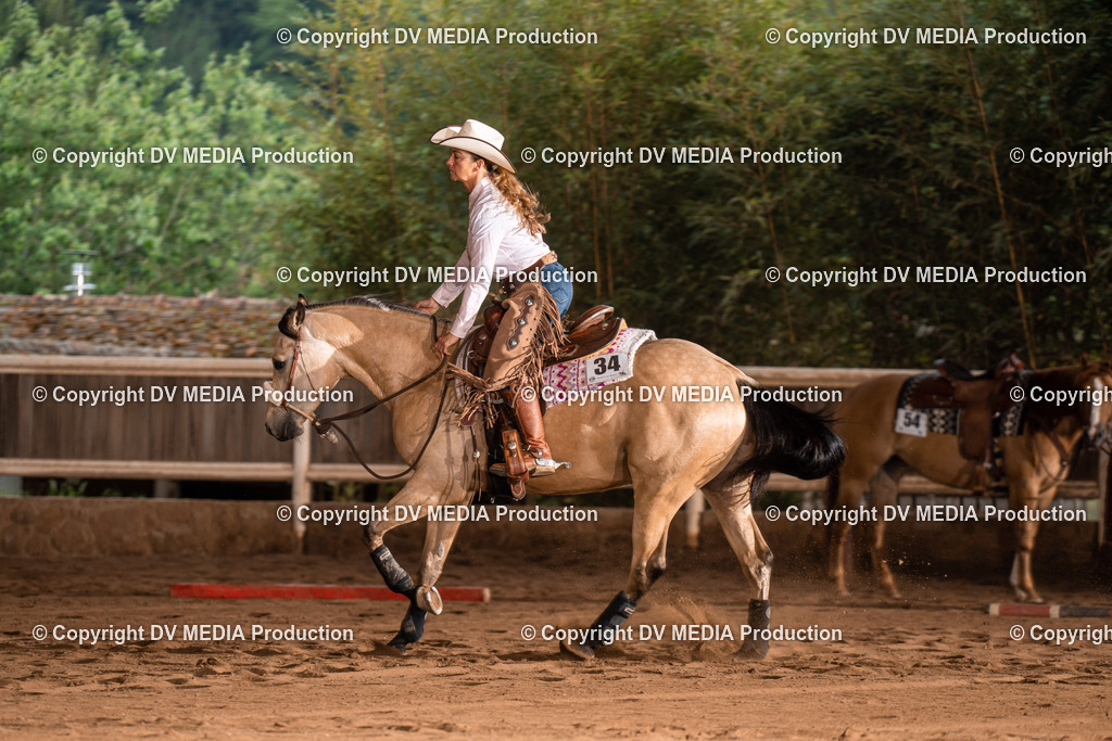 Erbach Tag 4-769 | dv-media-shop - Realisiert mit Pictrs.com