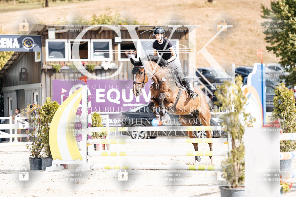 CK909047 | Turnierfotografie Pferdefotografie Trier Rheinland-Pfalz Pferdesport Reitsport Tierfotografie Sportfotografie Pferdevideo Pferdevideografie Equestrianvideography equestrianphotography  - Realisiert mit Pictrs.com