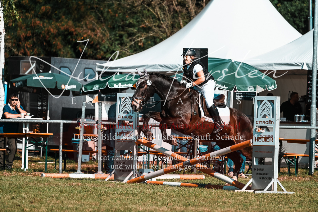DSC_5183 | Pferde- und Turnierfotografie in Westsachsen. Pferdeportraits, Auftragszeichnungen und intuitive Kunst.
